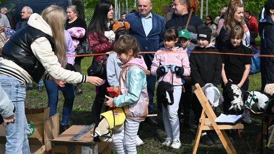 W niedzielę, 11 maja, w miejscowości Kanie-Stacja, w gminie Rejowiec Fabryczny, odbył się się III Konkurs i Pokaz Wszechstronnej Użytkowości Koni.