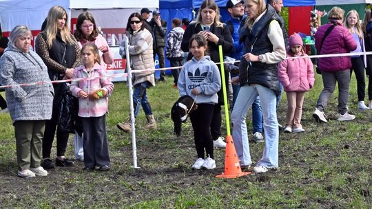 W niedzielę, 11 maja, w miejscowości Kanie-Stacja, w gminie Rejowiec Fabryczny, odbył się się III Konkurs i Pokaz Wszechstronnej Użytkowości Koni.