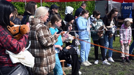 W niedzielę, 11 maja, w miejscowości Kanie-Stacja, w gminie Rejowiec Fabryczny, odbył się się III Konkurs i Pokaz Wszechstronnej Użytkowości Koni.