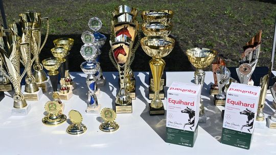 W niedzielę, 11 maja, w miejscowości Kanie-Stacja, w gminie Rejowiec Fabryczny, odbył się się III Konkurs i Pokaz Wszechstronnej Użytkowości Koni.