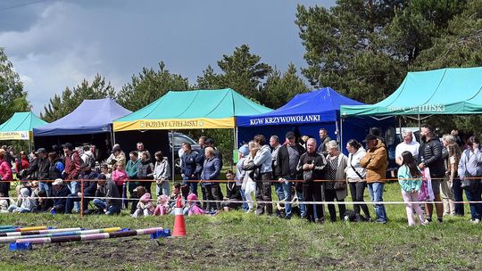 W niedzielę, 11 maja, w miejscowości Kanie-Stacja, w gminie Rejowiec Fabryczny, odbył się się III Konkurs i Pokaz Wszechstronnej Użytkowości Koni.