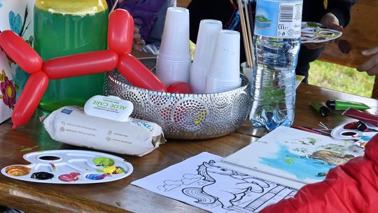 W niedzielę, 11 maja, w miejscowości Kanie-Stacja, w gminie Rejowiec Fabryczny, odbył się się III Konkurs i Pokaz Wszechstronnej Użytkowości Koni.