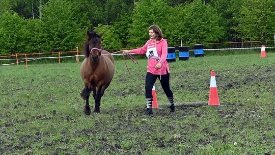 W niedzielę, 11 maja, w miejscowości Kanie-Stacja, w gminie Rejowiec Fabryczny, odbył się się III Konkurs i Pokaz Wszechstronnej Użytkowości Koni.