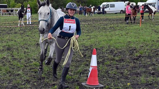 W niedzielę, 11 maja, w miejscowości Kanie-Stacja, w gminie Rejowiec Fabryczny, odbył się się III Konkurs i Pokaz Wszechstronnej Użytkowości Koni.