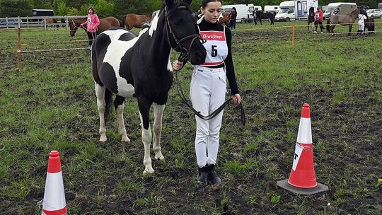 W niedzielę, 11 maja, w miejscowości Kanie-Stacja, w gminie Rejowiec Fabryczny, odbył się się III Konkurs i Pokaz Wszechstronnej Użytkowości Koni.