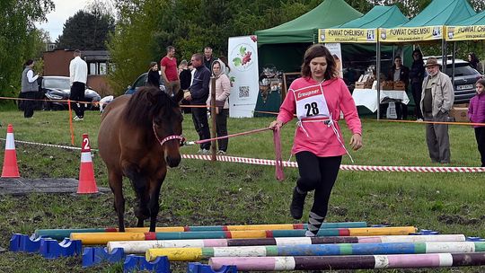 W niedzielę, 11 maja, w miejscowości Kanie-Stacja, w gminie Rejowiec Fabryczny, odbył się się III Konkurs i Pokaz Wszechstronnej Użytkowości Koni.