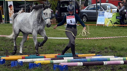 W niedzielę, 11 maja, w miejscowości Kanie-Stacja, w gminie Rejowiec Fabryczny, odbył się się III Konkurs i Pokaz Wszechstronnej Użytkowości Koni.