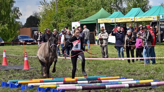 W niedzielę, 11 maja, w miejscowości Kanie-Stacja, w gminie Rejowiec Fabryczny, odbył się się III Konkurs i Pokaz Wszechstronnej Użytkowości Koni.