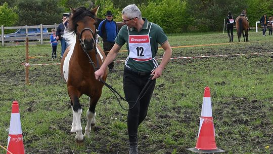 W niedzielę, 11 maja, w miejscowości Kanie-Stacja, w gminie Rejowiec Fabryczny, odbył się się III Konkurs i Pokaz Wszechstronnej Użytkowości Koni.