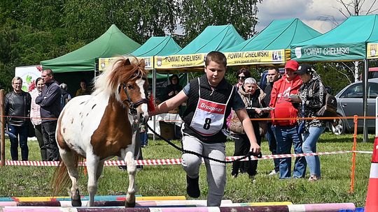W niedzielę, 11 maja, w miejscowości Kanie-Stacja, w gminie Rejowiec Fabryczny, odbył się się III Konkurs i Pokaz Wszechstronnej Użytkowości Koni.