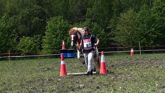 W niedzielę, 11 maja, w miejscowości Kanie-Stacja, w gminie Rejowiec Fabryczny, odbył się się III Konkurs i Pokaz Wszechstronnej Użytkowości Koni.