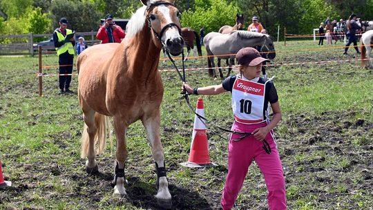 W niedzielę, 11 maja, w miejscowości Kanie-Stacja, w gminie Rejowiec Fabryczny, odbył się się III Konkurs i Pokaz Wszechstronnej Użytkowości Koni.