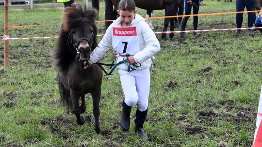 W niedzielę, 11 maja, w miejscowości Kanie-Stacja, w gminie Rejowiec Fabryczny, odbył się się III Konkurs i Pokaz Wszechstronnej Użytkowości Koni.