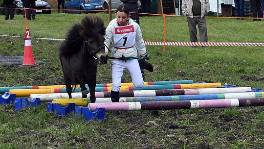 W niedzielę, 11 maja, w miejscowości Kanie-Stacja, w gminie Rejowiec Fabryczny, odbył się się III Konkurs i Pokaz Wszechstronnej Użytkowości Koni.