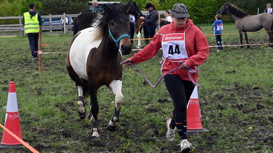 W niedzielę, 11 maja, w miejscowości Kanie-Stacja, w gminie Rejowiec Fabryczny, odbył się się III Konkurs i Pokaz Wszechstronnej Użytkowości Koni.