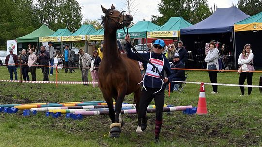 W niedzielę, 11 maja, w miejscowości Kanie-Stacja, w gminie Rejowiec Fabryczny, odbył się się III Konkurs i Pokaz Wszechstronnej Użytkowości Koni.