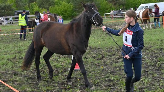 W niedzielę, 11 maja, w miejscowości Kanie-Stacja, w gminie Rejowiec Fabryczny, odbył się się III Konkurs i Pokaz Wszechstronnej Użytkowości Koni.