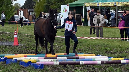 W niedzielę, 11 maja, w miejscowości Kanie-Stacja, w gminie Rejowiec Fabryczny, odbył się się III Konkurs i Pokaz Wszechstronnej Użytkowości Koni.