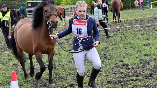 W niedzielę, 11 maja, w miejscowości Kanie-Stacja, w gminie Rejowiec Fabryczny, odbył się się III Konkurs i Pokaz Wszechstronnej Użytkowości Koni.