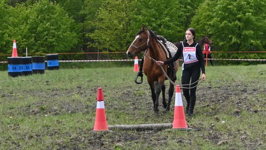 W niedzielę, 11 maja, w miejscowości Kanie-Stacja, w gminie Rejowiec Fabryczny, odbył się się III Konkurs i Pokaz Wszechstronnej Użytkowości Koni.