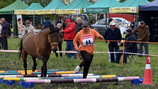 W niedzielę, 11 maja, w miejscowości Kanie-Stacja, w gminie Rejowiec Fabryczny, odbył się się III Konkurs i Pokaz Wszechstronnej Użytkowości Koni.
