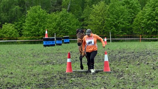 W niedzielę, 11 maja, w miejscowości Kanie-Stacja, w gminie Rejowiec Fabryczny, odbył się się III Konkurs i Pokaz Wszechstronnej Użytkowości Koni.