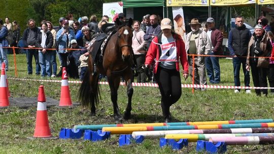 W niedzielę, 11 maja, w miejscowości Kanie-Stacja, w gminie Rejowiec Fabryczny, odbył się się III Konkurs i Pokaz Wszechstronnej Użytkowości Koni.