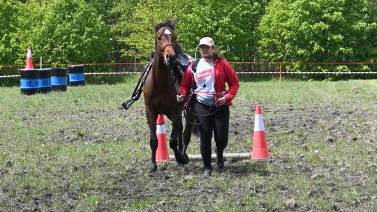 W niedzielę, 11 maja, w miejscowości Kanie-Stacja, w gminie Rejowiec Fabryczny, odbył się się III Konkurs i Pokaz Wszechstronnej Użytkowości Koni.