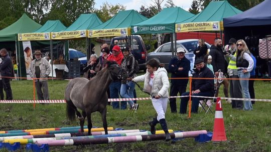 W niedzielę, 11 maja, w miejscowości Kanie-Stacja, w gminie Rejowiec Fabryczny, odbył się się III Konkurs i Pokaz Wszechstronnej Użytkowości Koni.