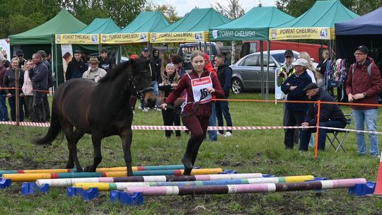 W niedzielę, 11 maja, w miejscowości Kanie-Stacja, w gminie Rejowiec Fabryczny, odbył się się III Konkurs i Pokaz Wszechstronnej Użytkowości Koni.