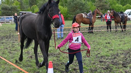 W niedzielę, 11 maja, w miejscowości Kanie-Stacja, w gminie Rejowiec Fabryczny, odbył się się III Konkurs i Pokaz Wszechstronnej Użytkowości Koni.