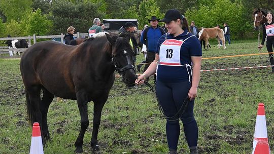 W niedzielę, 11 maja, w miejscowości Kanie-Stacja, w gminie Rejowiec Fabryczny, odbył się się III Konkurs i Pokaz Wszechstronnej Użytkowości Koni.