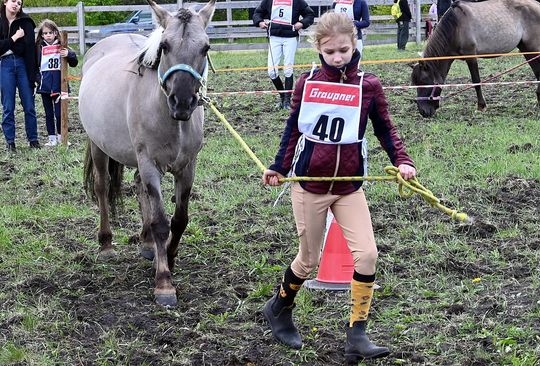 W niedzielę, 11 maja, w miejscowości Kanie-Stacja, w gminie Rejowiec Fabryczny, odbył się się III Konkurs i Pokaz Wszechstronnej Użytkowości Koni. W niedzielę, 11 maja, w miejscowości Kanie-Stacja, w gminie Rejowiec Fabryczny, odbył się się III Konkurs i Pokaz Wszechstronnej Użytkowości Koni.