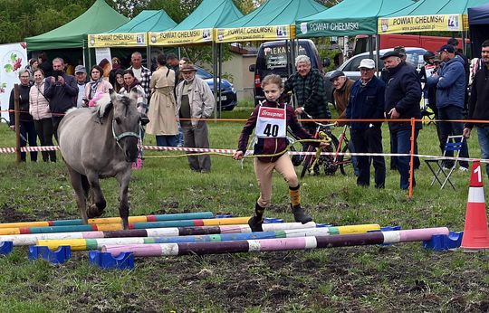 W niedzielę, 11 maja, w miejscowości Kanie-Stacja, w gminie Rejowiec Fabryczny, odbył się się III Konkurs i Pokaz Wszechstronnej Użytkowości Koni.