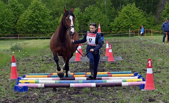 W niedzielę, 11 maja, w miejscowości Kanie-Stacja, w gminie Rejowiec Fabryczny, odbył się się III Konkurs i Pokaz Wszechstronnej Użytkowości Koni.