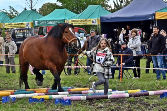 W niedzielę, 11 maja, w miejscowości Kanie-Stacja, w gminie Rejowiec Fabryczny, odbył się się III Konkurs i Pokaz Wszechstronnej Użytkowości Koni. W niedzielę, 11 maja, w miejscowości Kanie-Stacja, w gminie Rejowiec Fabryczny, odbył się się III Konkurs i Pokaz Wszechstronnej Użytkowości Koni.