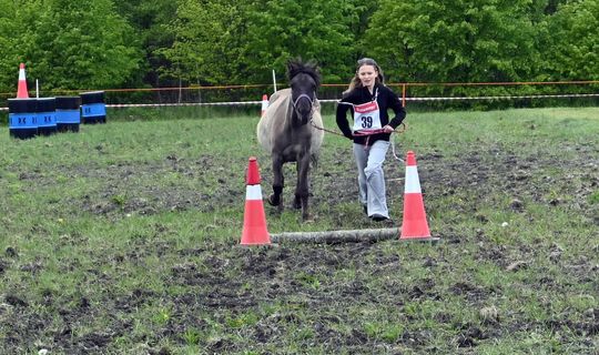 W niedzielę, 11 maja, w miejscowości Kanie-Stacja, w gminie Rejowiec Fabryczny, odbył się się III Konkurs i Pokaz Wszechstronnej Użytkowości Koni.