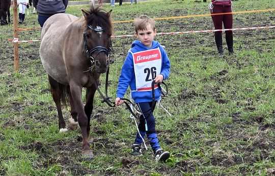 W niedzielę, 11 maja, w miejscowości Kanie-Stacja, w gminie Rejowiec Fabryczny, odbył się się III Konkurs i Pokaz Wszechstronnej Użytkowości Koni.