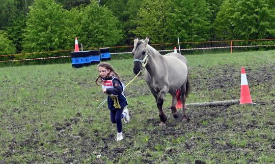 W niedzielę, 11 maja, w miejscowości Kanie-Stacja, w gminie Rejowiec Fabryczny, odbył się się III Konkurs i Pokaz Wszechstronnej Użytkowości Koni.