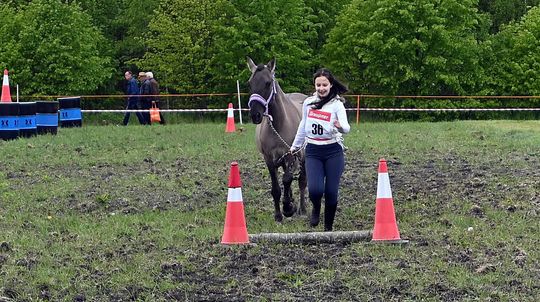 W niedzielę, 11 maja, w miejscowości Kanie-Stacja, w gminie Rejowiec Fabryczny, odbył się się III Konkurs i Pokaz Wszechstronnej Użytkowości Koni.