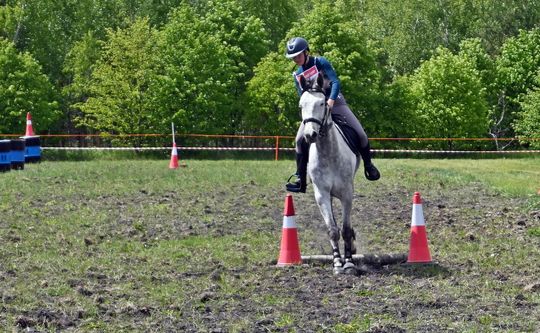 W niedzielę, 11 maja, w miejscowości Kanie-Stacja, w gminie Rejowiec Fabryczny, odbył się się III Konkurs i Pokaz Wszechstronnej Użytkowości Koni. W niedzielę, 11 maja, w miejscowości Kanie-Stacja, w gminie Rejowiec Fabryczny, odbył się się III Konkurs i Pokaz Wszechstronnej Użytkowości Koni.