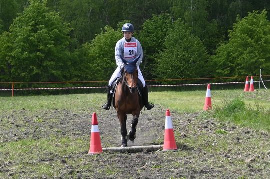 W niedzielę, 11 maja, w miejscowości Kanie-Stacja, w gminie Rejowiec Fabryczny, odbył się się III Konkurs i Pokaz Wszechstronnej Użytkowości Koni. W niedzielę, 11 maja, w miejscowości Kanie-Stacja, w gminie Rejowiec Fabryczny, odbył się się III Konkurs i Pokaz Wszechstronnej Użytkowości Koni.