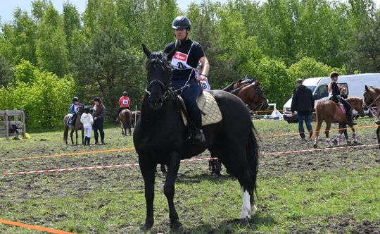 W niedzielę, 11 maja, w miejscowości Kanie-Stacja, w gminie Rejowiec Fabryczny, odbył się się III Konkurs i Pokaz Wszechstronnej Użytkowości Koni.
