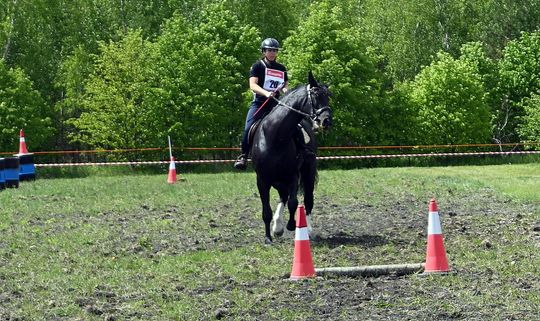 W niedzielę, 11 maja, w miejscowości Kanie-Stacja, w gminie Rejowiec Fabryczny, odbył się się III Konkurs i Pokaz Wszechstronnej Użytkowości Koni.