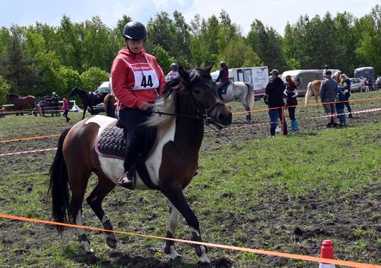 W niedzielę, 11 maja, w miejscowości Kanie-Stacja, w gminie Rejowiec Fabryczny, odbył się się III Konkurs i Pokaz Wszechstronnej Użytkowości Koni.