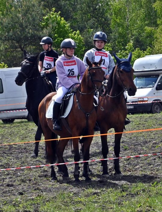 W niedzielę, 11 maja, w miejscowości Kanie-Stacja, w gminie Rejowiec Fabryczny, odbył się się III Konkurs i Pokaz Wszechstronnej Użytkowości Koni.