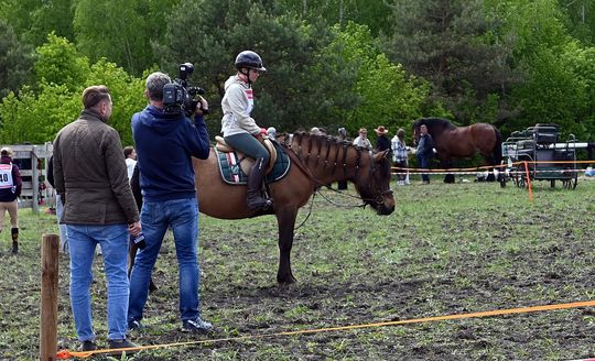 W niedzielę, 11 maja, w miejscowości Kanie-Stacja, w gminie Rejowiec Fabryczny, odbył się się III Konkurs i Pokaz Wszechstronnej Użytkowości Koni.