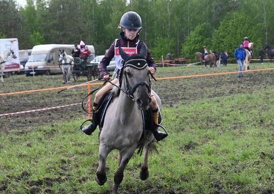 W niedzielę, 11 maja, w miejscowości Kanie-Stacja, w gminie Rejowiec Fabryczny, odbył się się III Konkurs i Pokaz Wszechstronnej Użytkowości Koni.