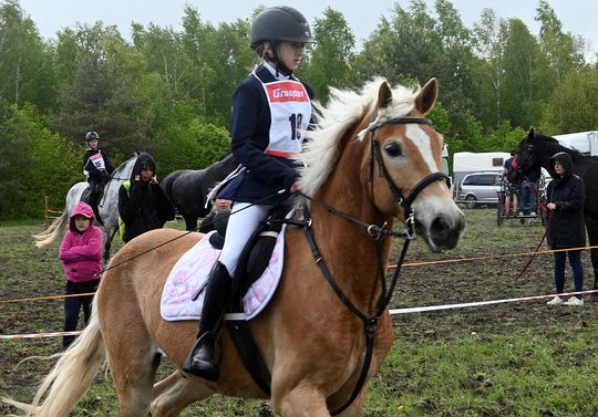 W niedzielę, 11 maja, w miejscowości Kanie-Stacja, w gminie Rejowiec Fabryczny, odbył się się III Konkurs i Pokaz Wszechstronnej Użytkowości Koni.