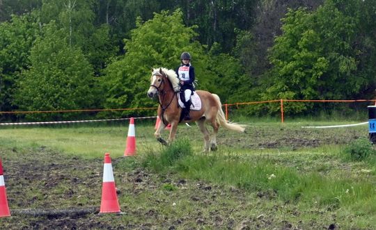 W niedzielę, 11 maja, w miejscowości Kanie-Stacja, w gminie Rejowiec Fabryczny, odbył się się III Konkurs i Pokaz Wszechstronnej Użytkowości Koni. W niedzielę, 11 maja, w miejscowości Kanie-Stacja, w gminie Rejowiec Fabryczny, odbył się się III Konkurs i Pokaz Wszechstronnej Użytkowości Koni.